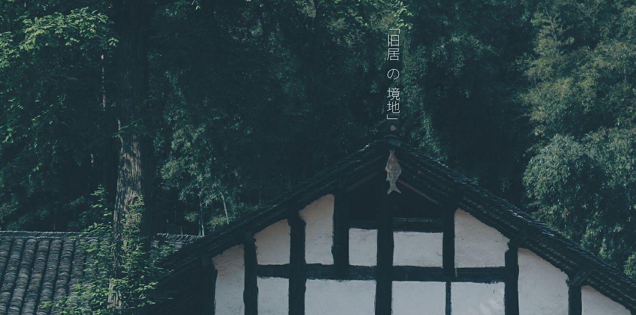 逗小猴开心系列198